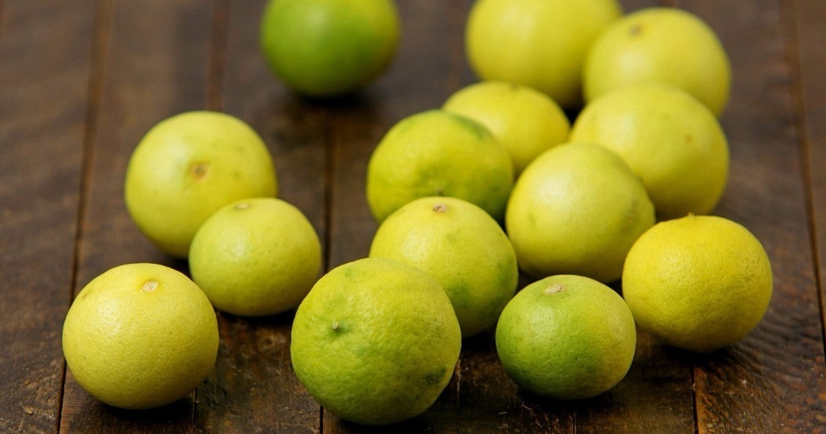 Veja quais são os tipos de limão e suas características Diferença