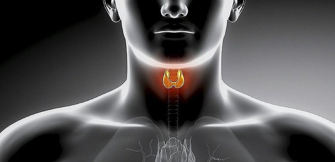 Glândula da tireoide